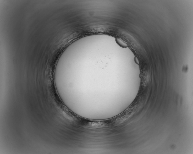 X0000098150414200805011412