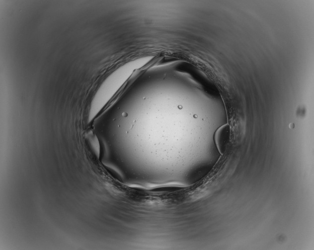X0000098150416200805011412