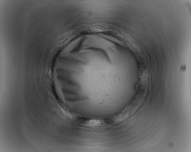 X0000098150418200805011412