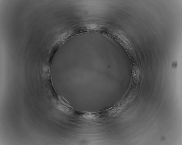 X0000098150419200805011412
