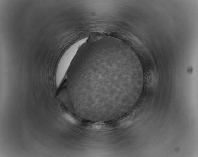 X0000098150420200805011412