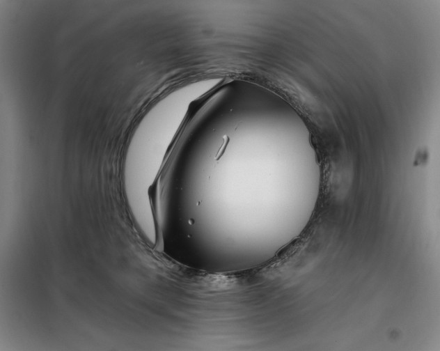 X0000098150421200805011412