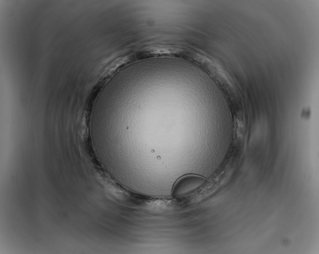 X0000098150422200805011412