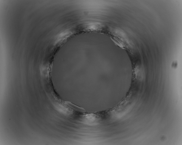 X0000098150423200805011412
