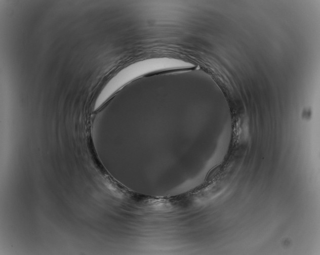 X0000098150424200805011412