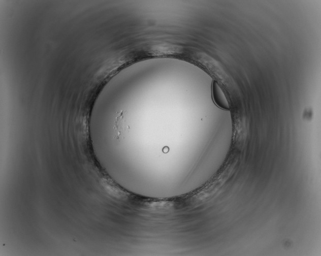 X0000098150426200805011412