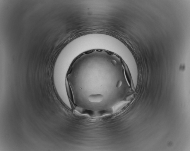 X0000098150427200805011412