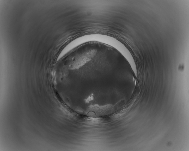 X0000098150428200805011412