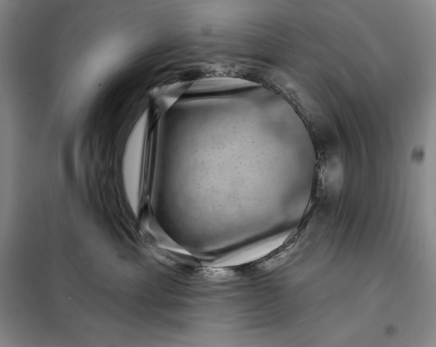 X0000098150429200805011412