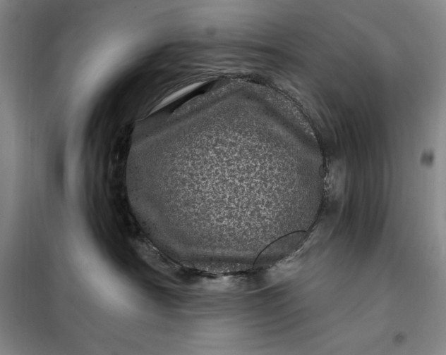 X0000098150430200805011412