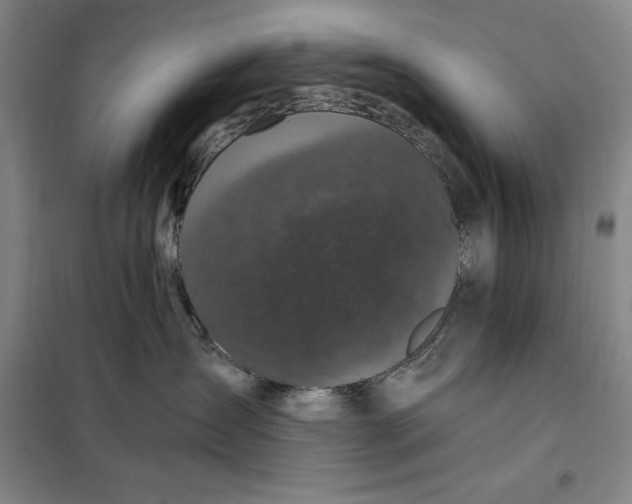 X0000098150431200805011412