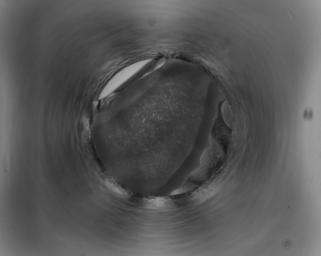 X0000098150432200805011412