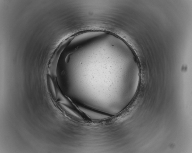 X0000098150434200805011411