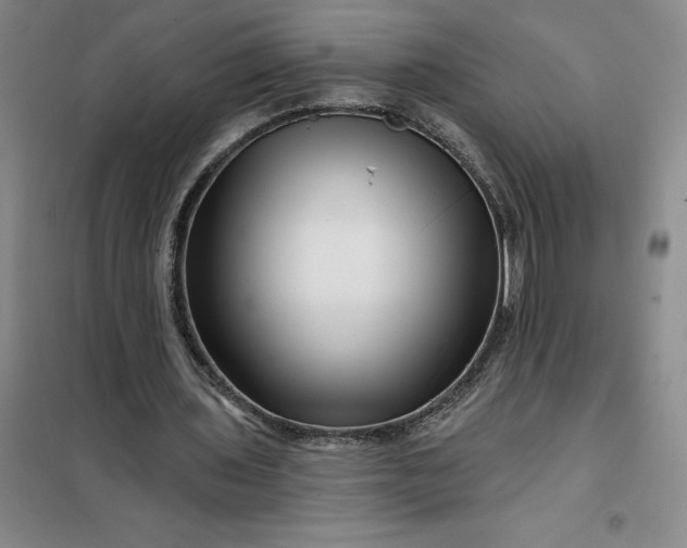 X0000098150435200805011411