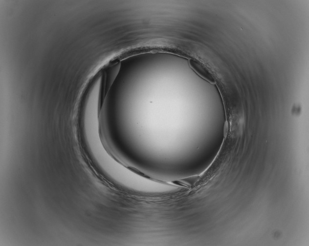 X0000098150436200805011411