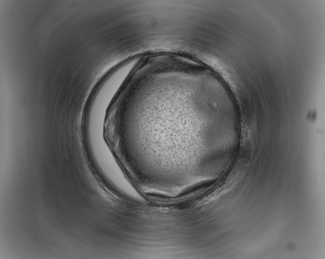 X0000098150439200805011411