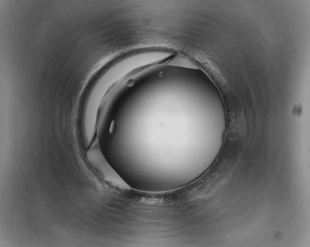 X0000098150440200805011411