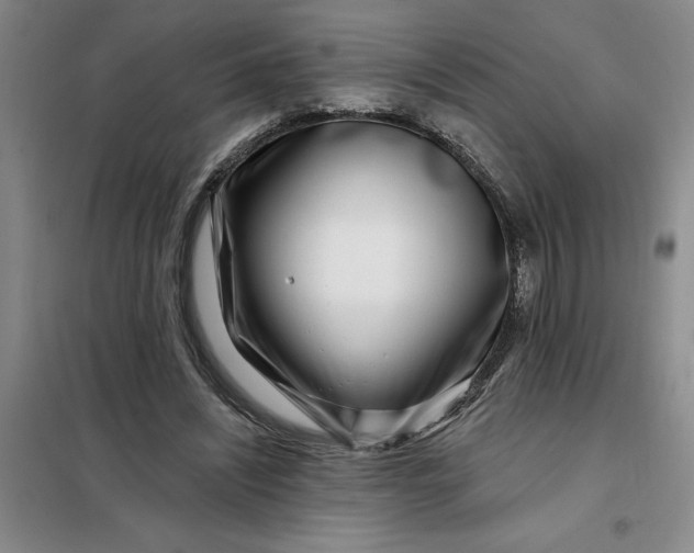 X0000098150444200805011411