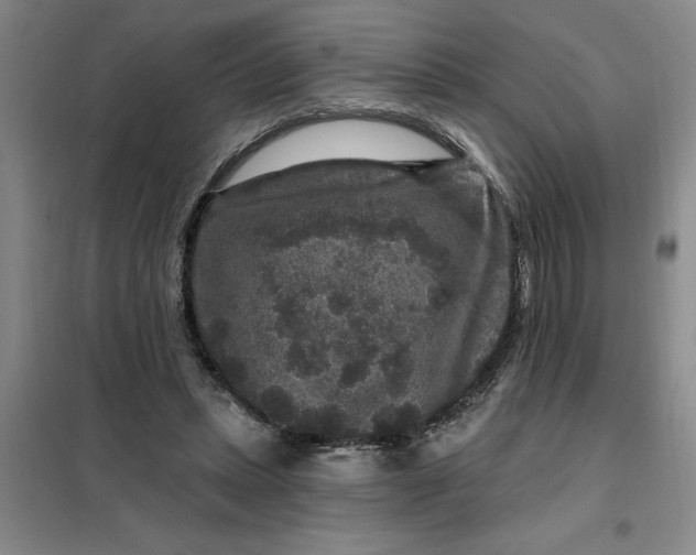 X0000098150447200805011411