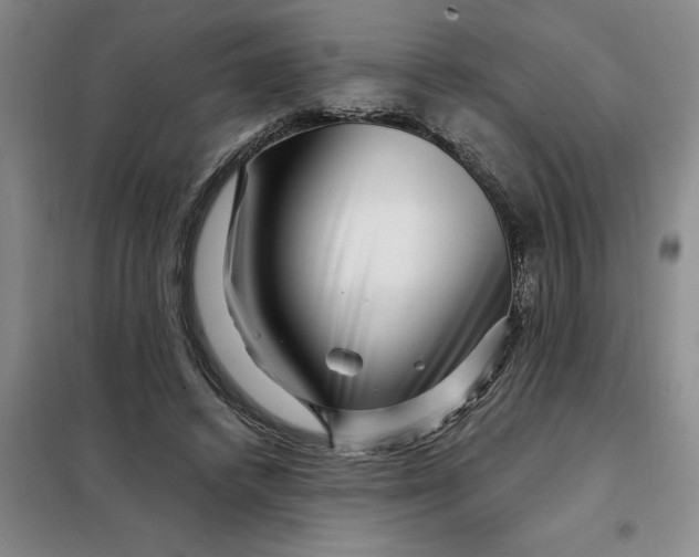 X0000098150448200805011411