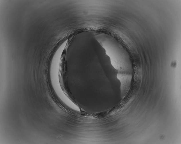 X0000098150451200805011411