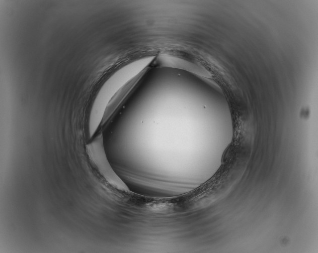 X0000098150452200805011411