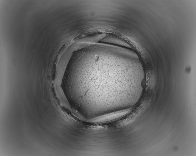 X0000098150453200805011411