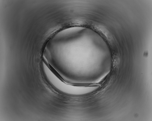 X0000098150455200805011411