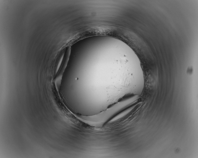 X0000098150456200805011412