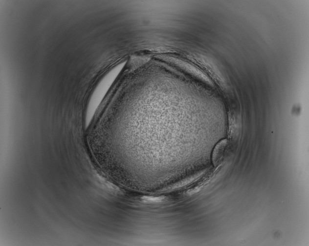 X0000098150457200805011412