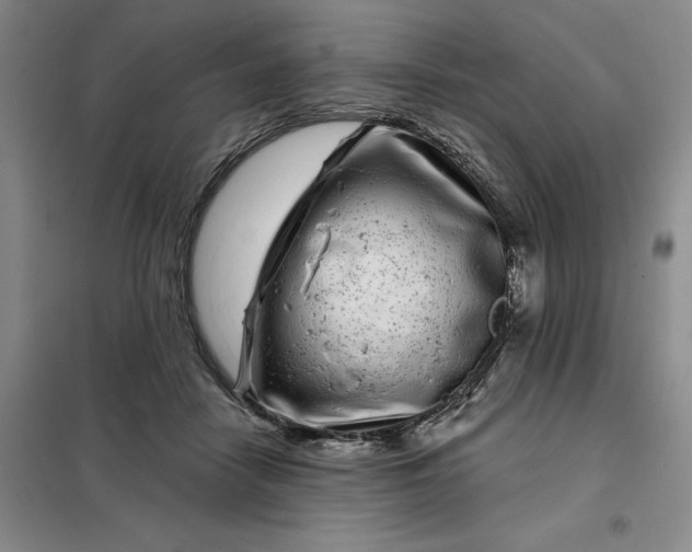 X0000098150458200805011412