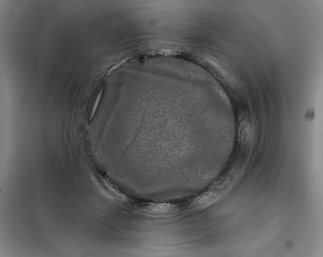 X0000098150459200805011412