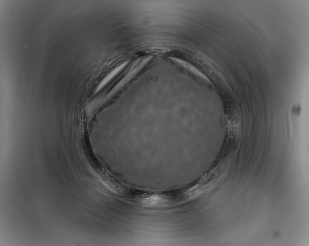 X0000098150460200805011412