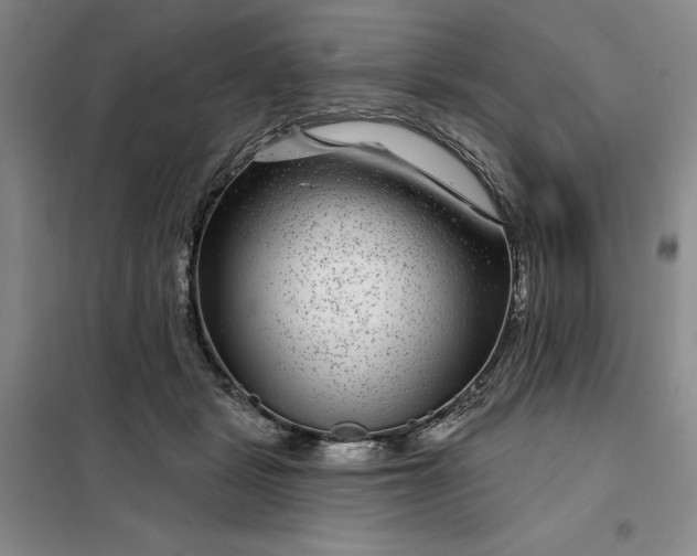 X0000098150461200805011412