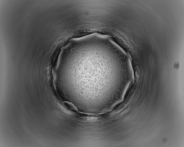 X0000098150462200805011412