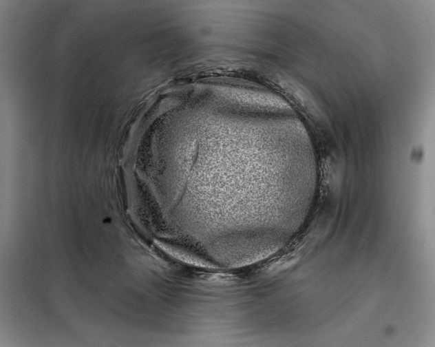 X0000098150463200805011412