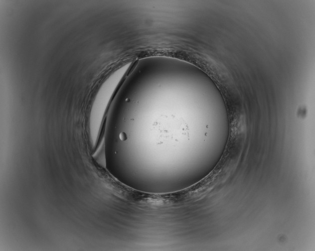 X0000098150464200805011412