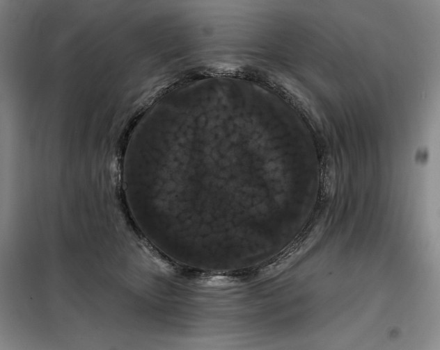 X0000098150467200805011412