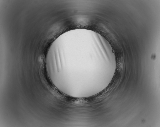 X0000098150468200805011412
