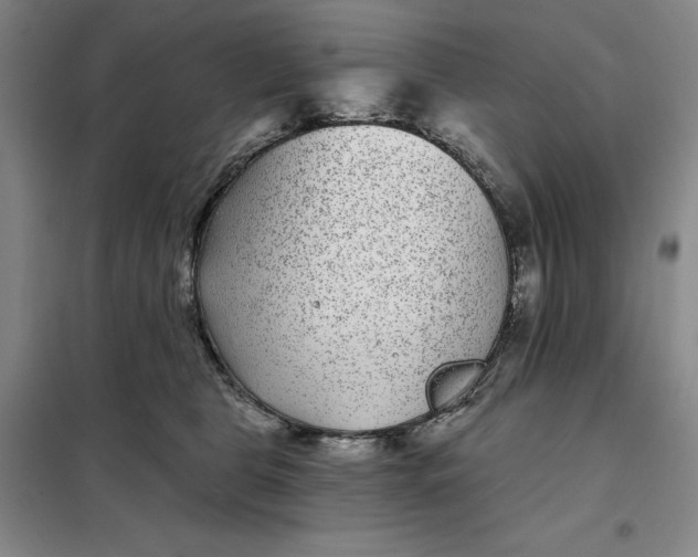 X0000098150469200805011412