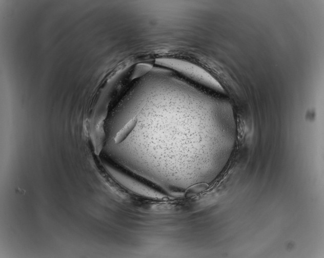 X0000098150470200805011412