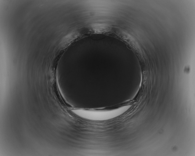 X0000098150471200805011412