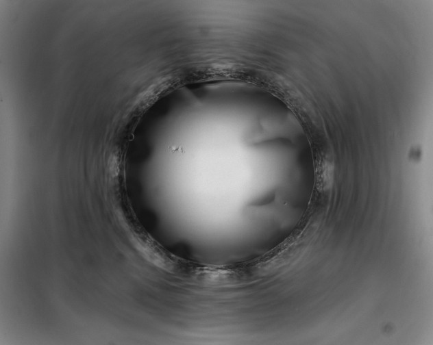 X0000098150472200805011412