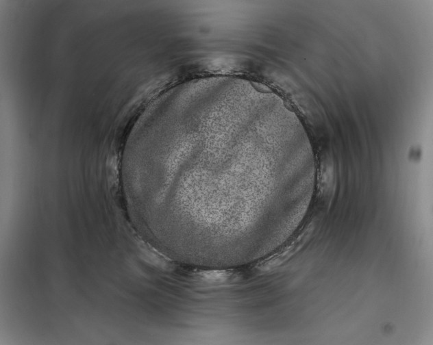 X0000098150473200805011412