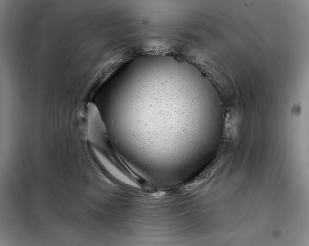 X0000098150474200805011412