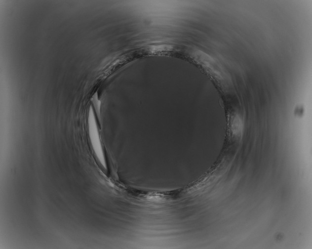 X0000098150475200805011412