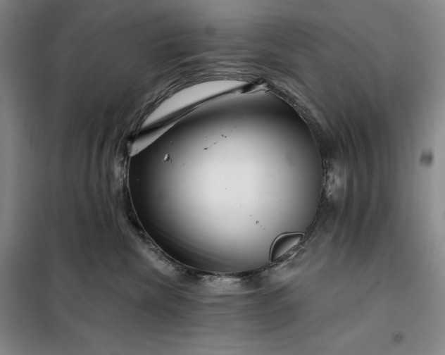 X0000098150476200805011412