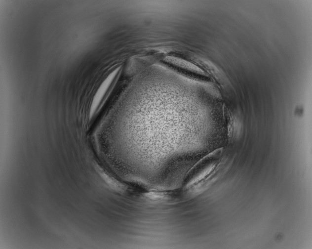 X0000098150477200805011412