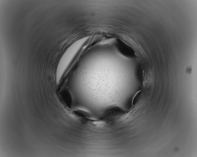 X0000098150478200805011412