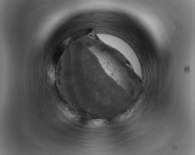 X0000098150479200805011412
